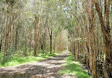 Coombabah Lakelands Conservation Area