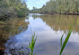 Coombabah Lakelands Conservation Area