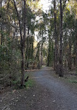 Coombabah Lakelands Conservation Area