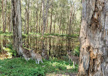 Coombabah Lakelands Conservation Area