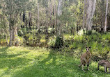 Coombabah Lakelands Conservation Area