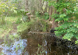 Coombabah Lakelands Conservation Area