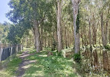 Coombabah Lakelands Conservation Area