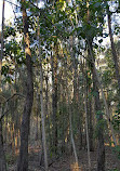 Coombabah Lakelands Conservation Area