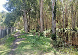 Coombabah Lakelands Conservation Area