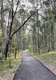 Área de Conservação de Coombabah Lakelands