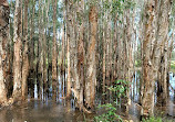 Coombabah Lakelands Conservation Area