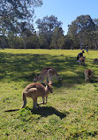 Coombabah Lakelands Conservation Area