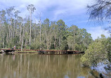 Coombabah Lakelands Conservation Area