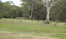 Coombabah Lake Conservation Park