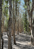 Coombabah Lake Conservation Park