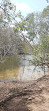 Parque de Conservação do Lago Coombabah