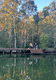 Parque de conservación del lago Coombabah