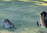 Parque de Conservação do Lago Coombabah