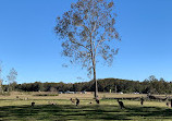 Coombabah Lake Conservation Park