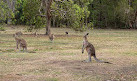 Coombabah Lake Conservation Park