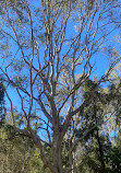 Coombabah Lake Conservation Park