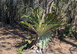 Coombabah Lake Conservation Park