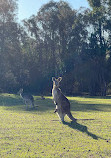 Coombabah Lake Conservation Park