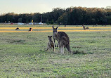 Coombabah Lake Conservation Park