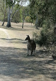 Parque de conservación del lago Coombabah