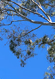 Coombabah Lake Conservation Park