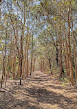 Coombabah Lake Conservation Park