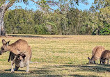 Coombabah Lake Conservation Park