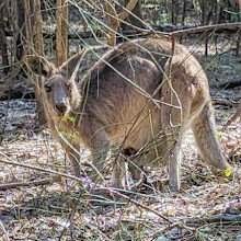 Coombabah Lake Conservation Park