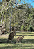 Coombabah Lake Conservation Park