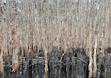 Coombabah Lake Conservation Park