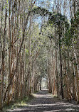 Coombabah Lake Conservation Park