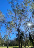 Coombabah Lake Conservation Park