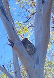 Coombabah Lake Conservation Park