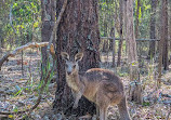 Coombabah Lake Conservation Park