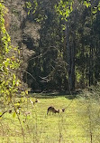 Coombabah Lake Conservation Park