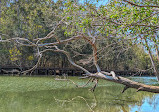 Coombabah Lake Conservation Park