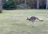 Coombabah Lake Conservation Park