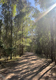 Coombabah Lake Conservation Park