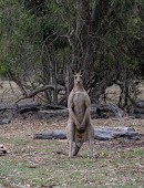 Coombabah Lake Conservation Park