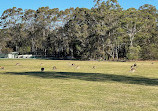 Coombabah Lake Conservation Park