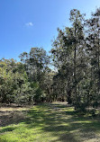 Coombabah Lake Conservation Park