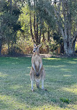 Coombabah Lake Conservation Park