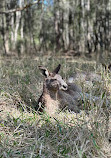 Coombabah Lake Conservation Park