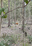 Coombabah Lake Conservation Park