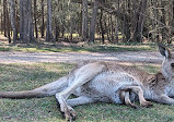 Coombabah Lake Conservation Park