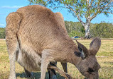 Coombabah Lake Conservation Park