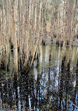 Parque de conservación del lago Coombabah