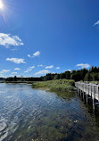 Island Lake Conservation Area