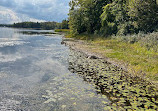 Island Lake Conservation Area